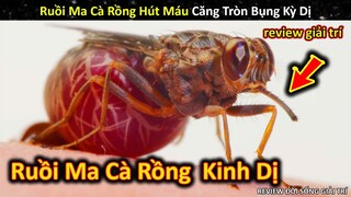 Review Loài Ruồi Ma Cà Rồng Hút Máu Để Sinh Con Cực Kinh Dị || Review Giải Trí Đời Sống