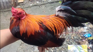 Win 🍀 pabitaw lang ☺️