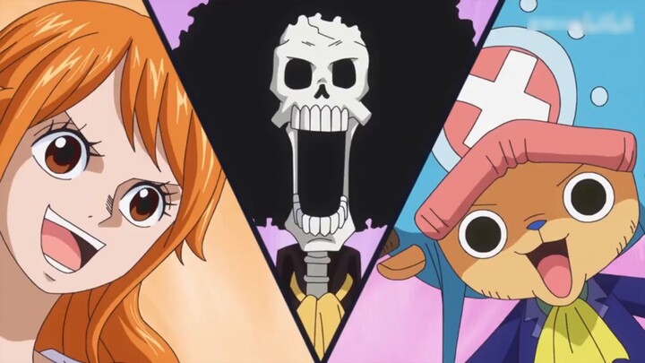 The only man with the most handsome appearance to join the Straw Hats!