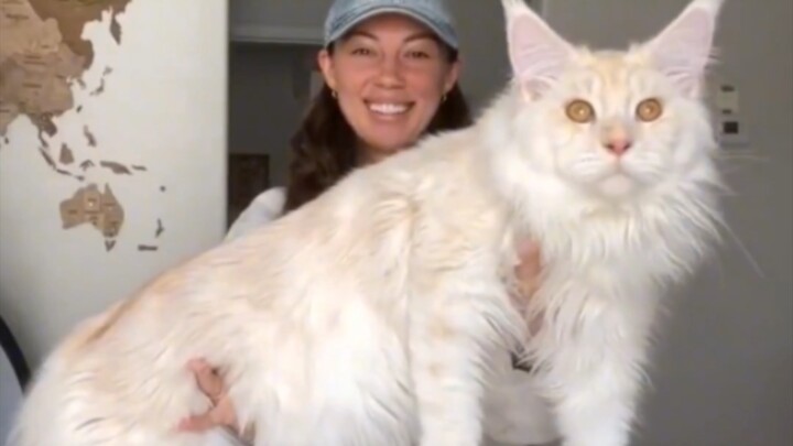 سؤال واحد فقط: كم يجب أن أأكل وأتبرز إذًا؟............