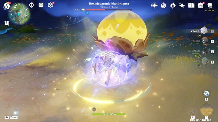 Genshin Impact Hexadecatonic Mandragora