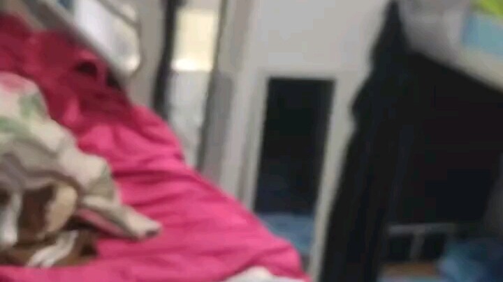 不能说不像只能说一模一样