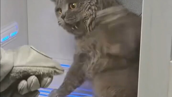 Hakimi tidak memiliki ambang batas kecepatan serangan.