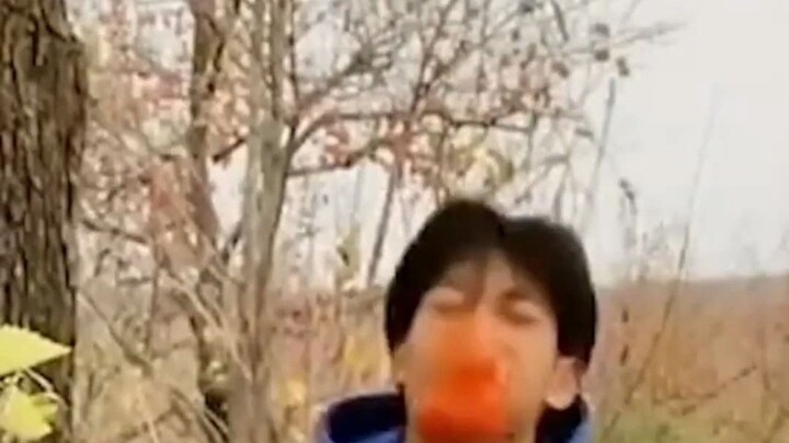 Tianjin: Guy filming a video under a persimmon tree gets hit in the face by a falling persimmon