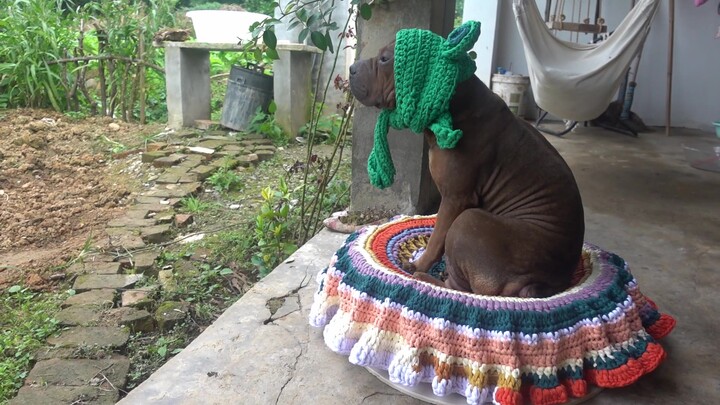 บทสรุปสิ้นปีเกี่ยวกับอุลตร้าแมน