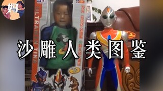 【野生人类图鉴】沙雕人类欢乐多