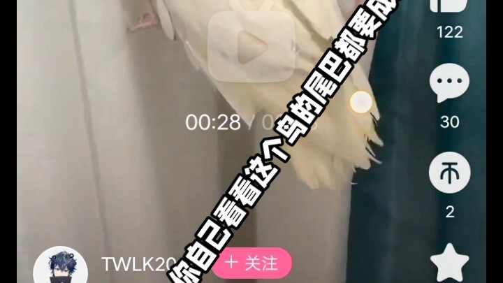 บล็อกเกอร์ชื่อดังยอดฟอลล์หลักล้าน หวังเปาฝู ทารุณกรรมนกตัวเล็ก