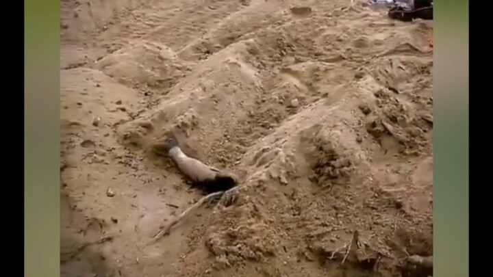 Yang lebih besar masih di depan.