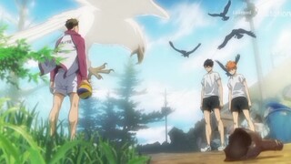 "I'm Hinata Shoyo from the concrete"