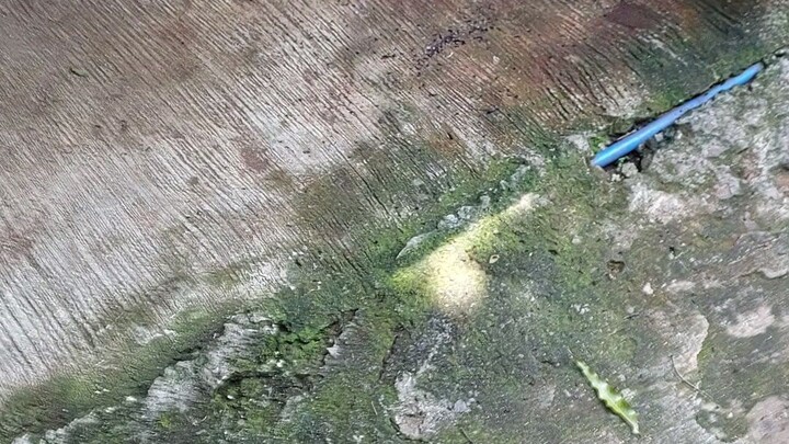 training muna mga stag para mtuto.