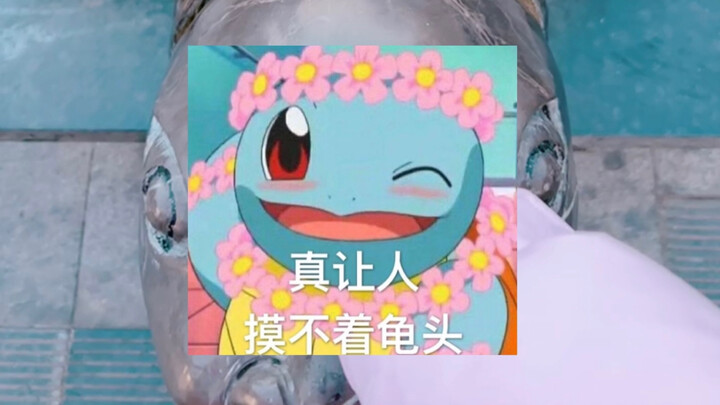 龟头搓一搓，生活乐趣多。