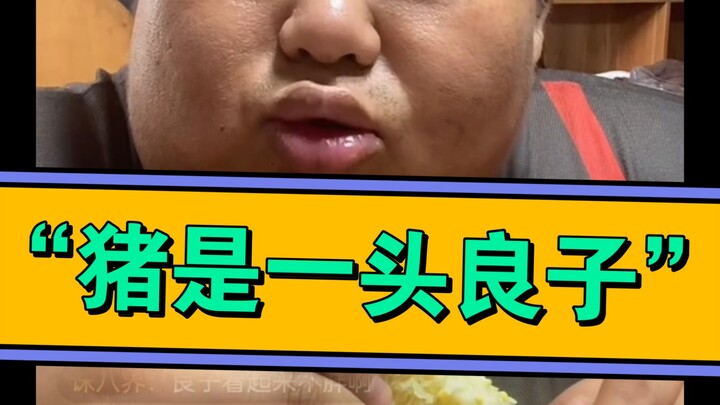 7月4日中午，新词:“猪是一头良子”。。。这一集总纠结着和猪比颜值。