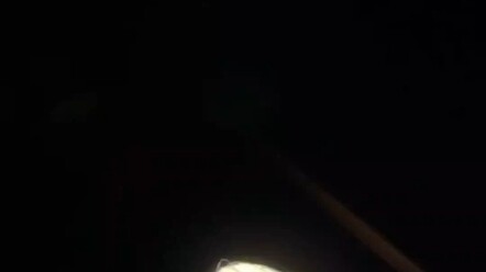 Tahun baru ini, semoga semua orang bahagia!