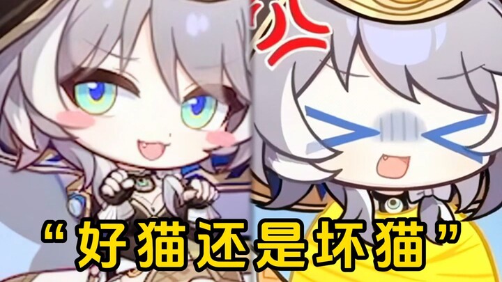 是好猫还是坏猫？
