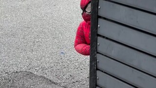 spider tababoy