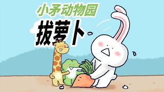 【小矛动物园】小兔子拔萝卜，拔呀拔不动
