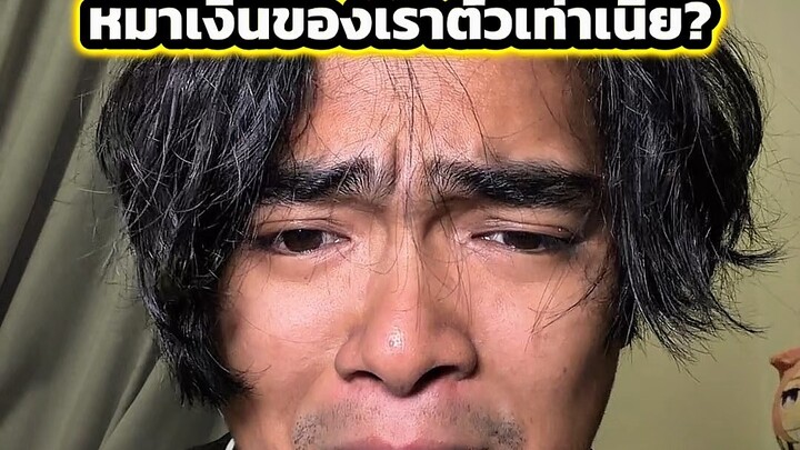 ไม่โตขึ้นเลย LV.999 หมาเงินของเราตัวเท่าเนี้ย? #ตั้มทามะ #tumtama #silverwolf #honkaistarrail #hsr