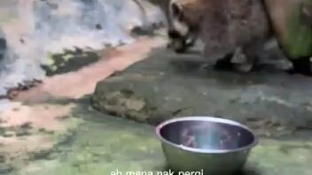 😆