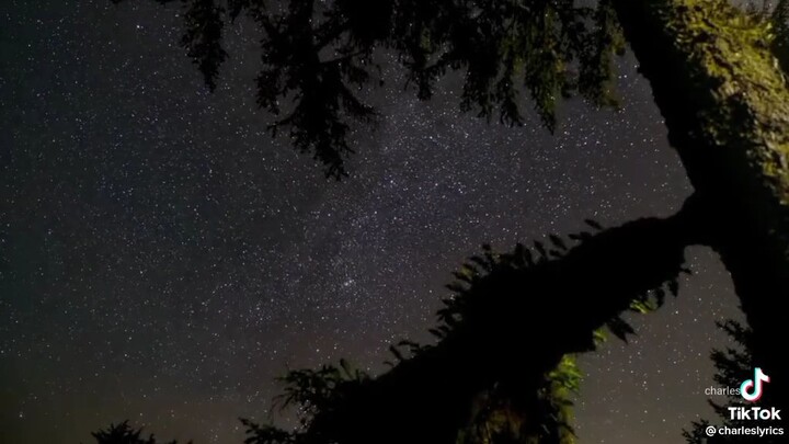 loving moon💞😍https://media.tenor.com/Jww_KM2QKJsAAAAM/moon.gif🌚