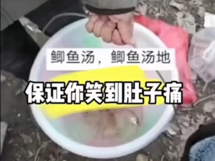 Memancing ikan mas di alam liar