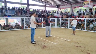 Hackfight Sabungan sa Pitogo Lose