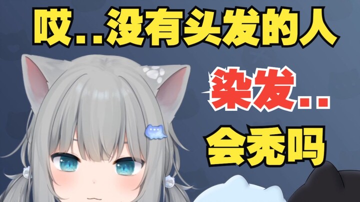 甘城猫猫染发..会秃吗？猫秃子喵~