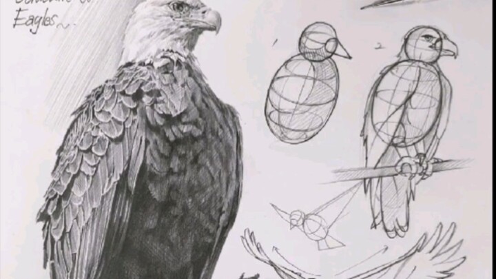 Kalau strukturnya digambar dengan baik, semua objek bisa diotopsi!