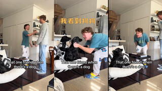 Teman yang langsung ngomong ala cewek manis begitu lihat anjing 🤣