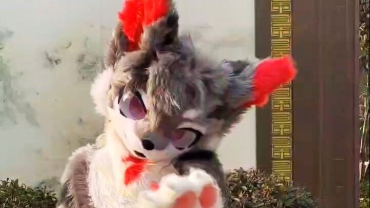 【Fursuitdance】Latihan Pemulihan Kalsium Karbonat (Tarian Ulang Drama)