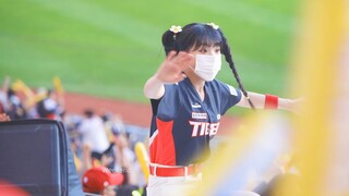 Tim Harimau, Cheerleader Lee Da-hye - Reaksi homerun tiga poin Socrates!