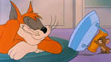 Tom and Jerry : ใครทำให้คุณยุ่งกับพระเอกสองคนในเวลาเดียวกัน?