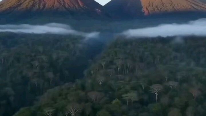 Semangat pagi