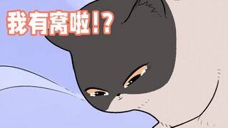 掉下去的枕头成了小猫咪的家..