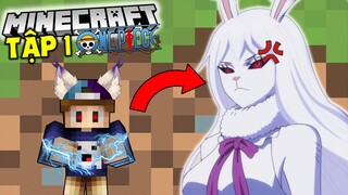 MINECRAFT SINH TỒN VUA HẢI TẶC | TẬP 1 | TRỞ THÀNH TỘC MINK VÀ XÂM CHIẾM TRỤ SỞ HẢI QUÂN !!