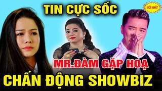 🔴 Tin nóng Bà Phương Hằng mới nhất: MR ĐỜM RA TÒA - CĐM BẤT NGÃ NGỬA KHI BIẾT SỰ THÂT#Tintứcmới24h