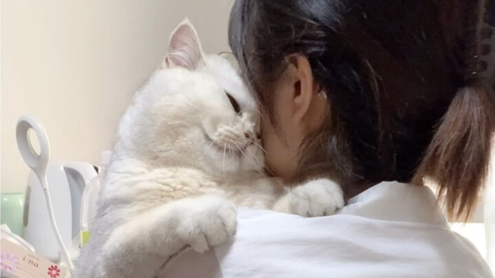 My little kitty probably thinks I’m totally head over heels for him…