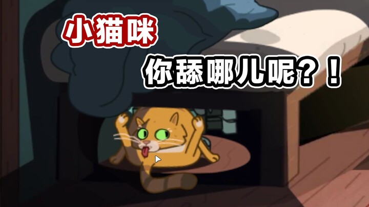 Hahaha, this cat is hilarious!