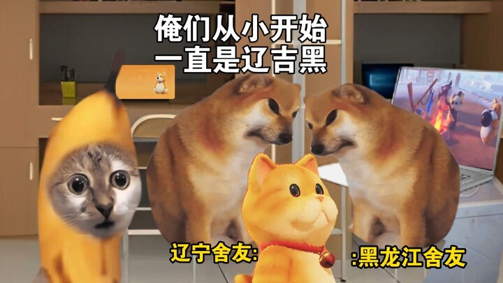 When All My Roommates Are from Northeast China