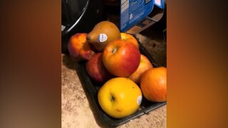 有一对不爱干净的父母是什么体验，家里蟑螂成灾...怕虫星人慎入！