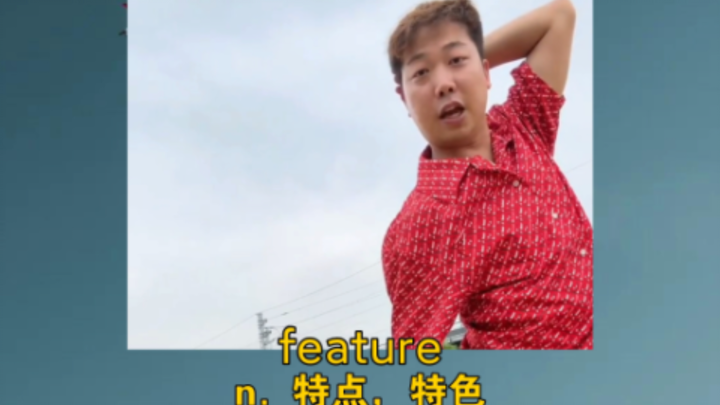 《成都来不得，来不得》 feature：n. 特点，特色