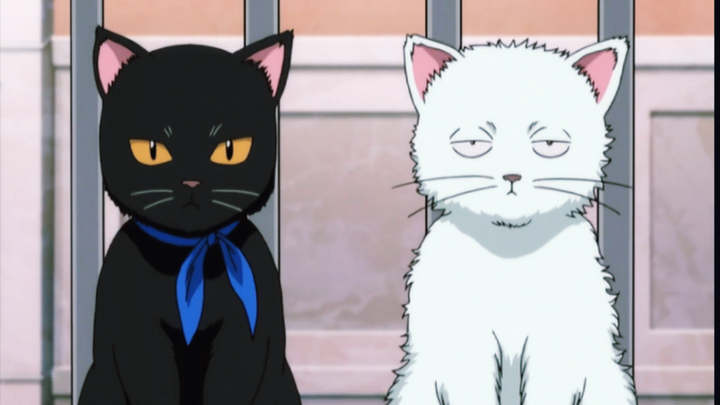 [ Gintama ]Whose dream cat is this?