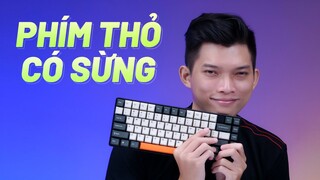 Phím cơ xài pin con thỏ không dây |MISTEL Q75“ BUNNY