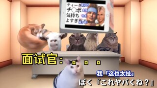 [Cooked Meat] The story of "Tidus's Gold Foil" was played during the final job interview | Cat meme
