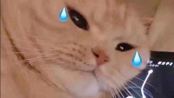 ไอ้เด็กโง่นี่เขาว่า...