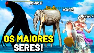OS MAIORES SERES DO UNIVERSO DE ONE PIECE! (COMPARAÇÃO DE TAMANHO)