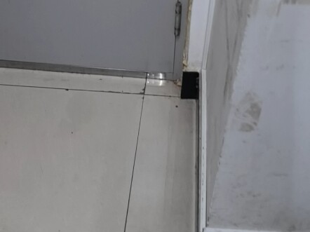 Saat kamu mengunduh versi hibrida Plants vs. Zombies untuk teman-teman sekamarmu