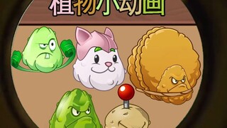 植物小动画：窝瓜杂交合集
