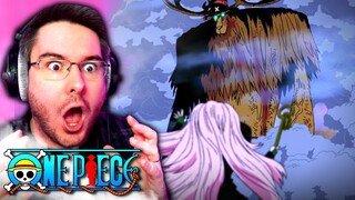 CHOPPER'S MONSTER FORM?! | One Piece Episode 290 REACTION | Anime Reaction