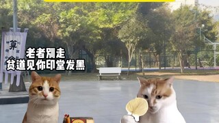 青春没有售价，闪电直击老登