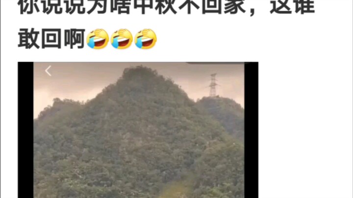 Rõ ràng bạn không tuổi Mão.